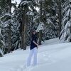 taylormittelbac